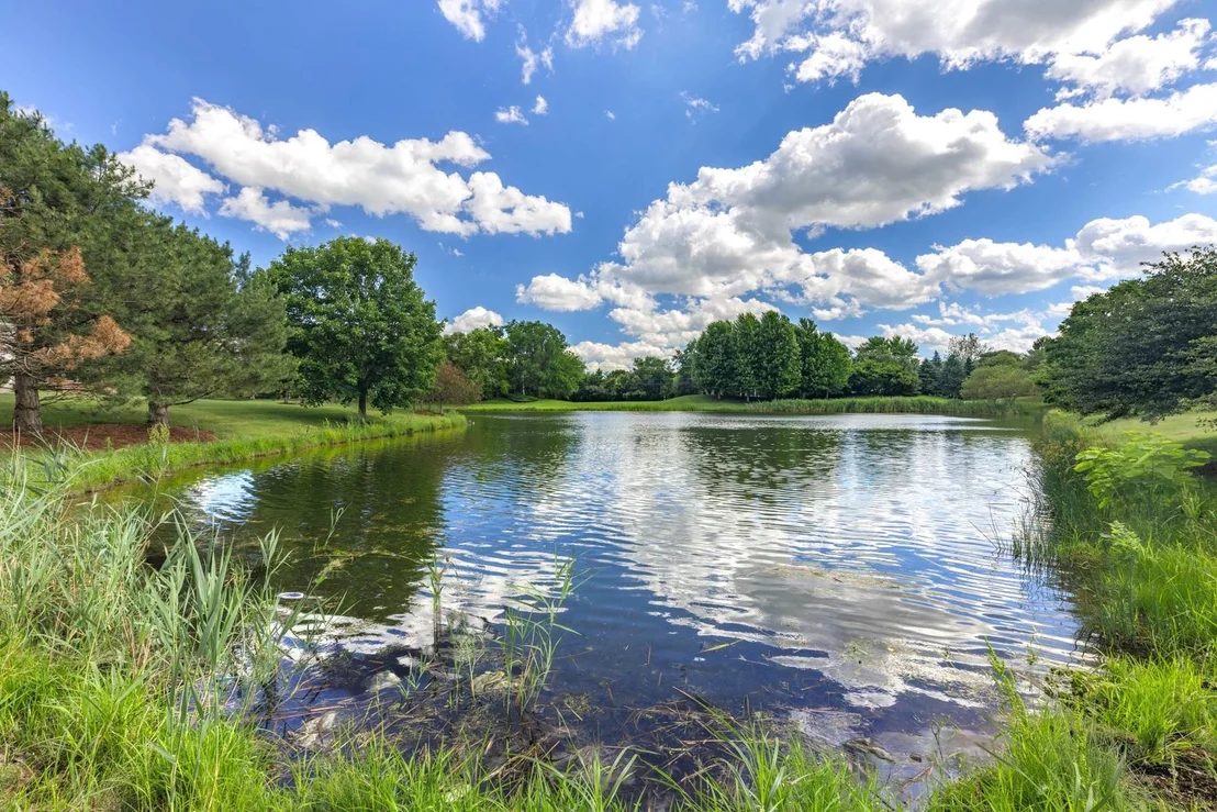 Photo of 26208 W Milestone Drive