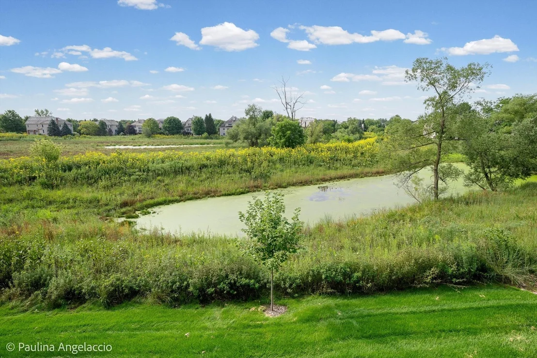 Photo of 1013 Ridgeview Drive