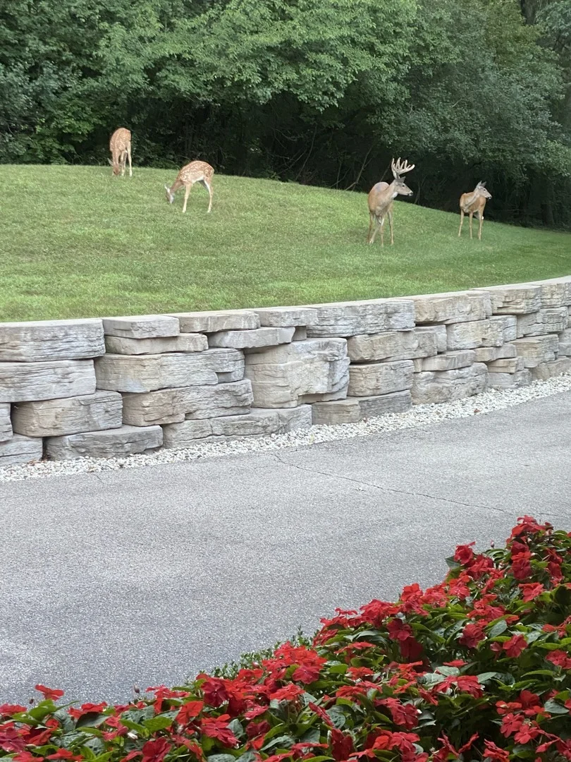 Photo of 4 Far Hills Road