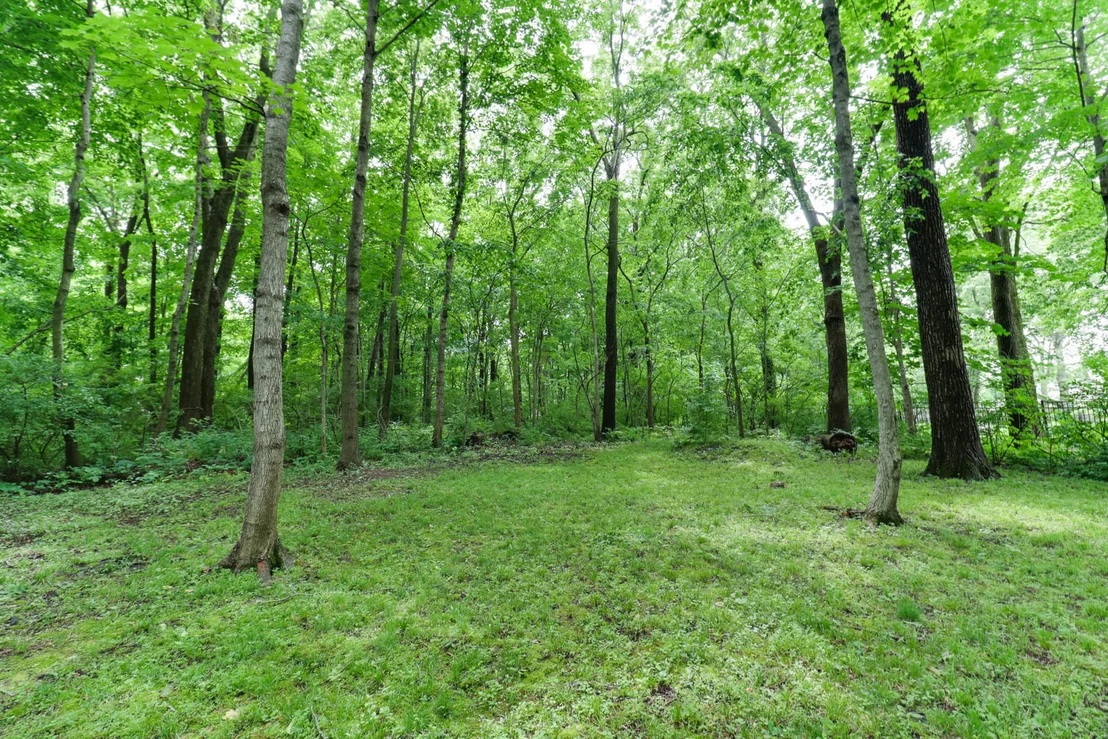 Photo of 1701 Sweetbriar Drive