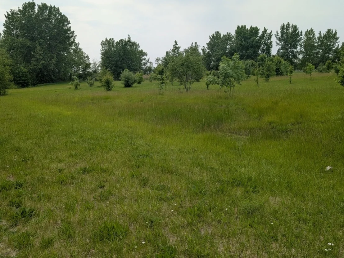 Photo of 0 Gore Road