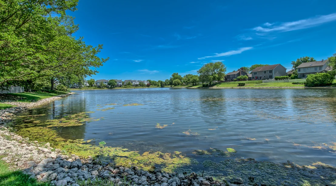 Photo of 1337 Saddlebrook Road