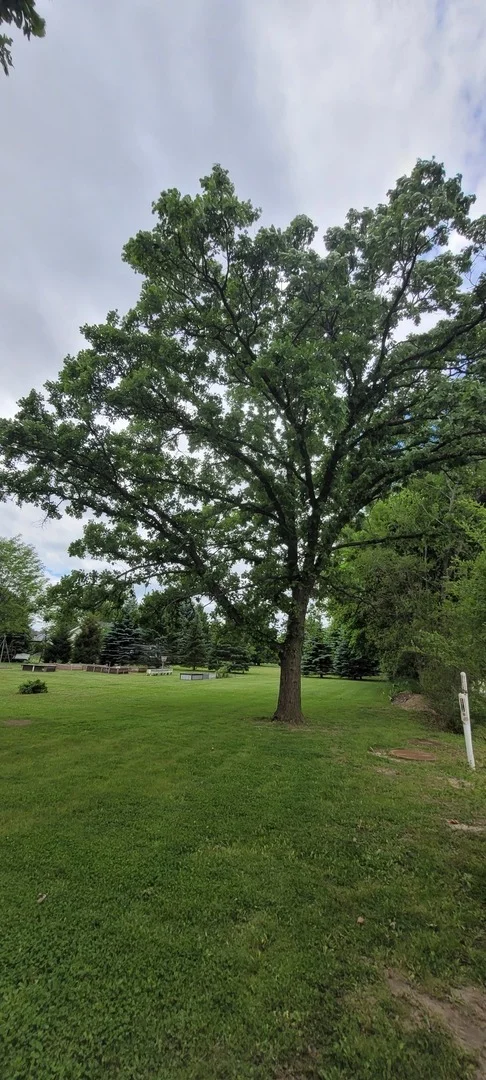 Photo of 901 E Il Route 60 Highway