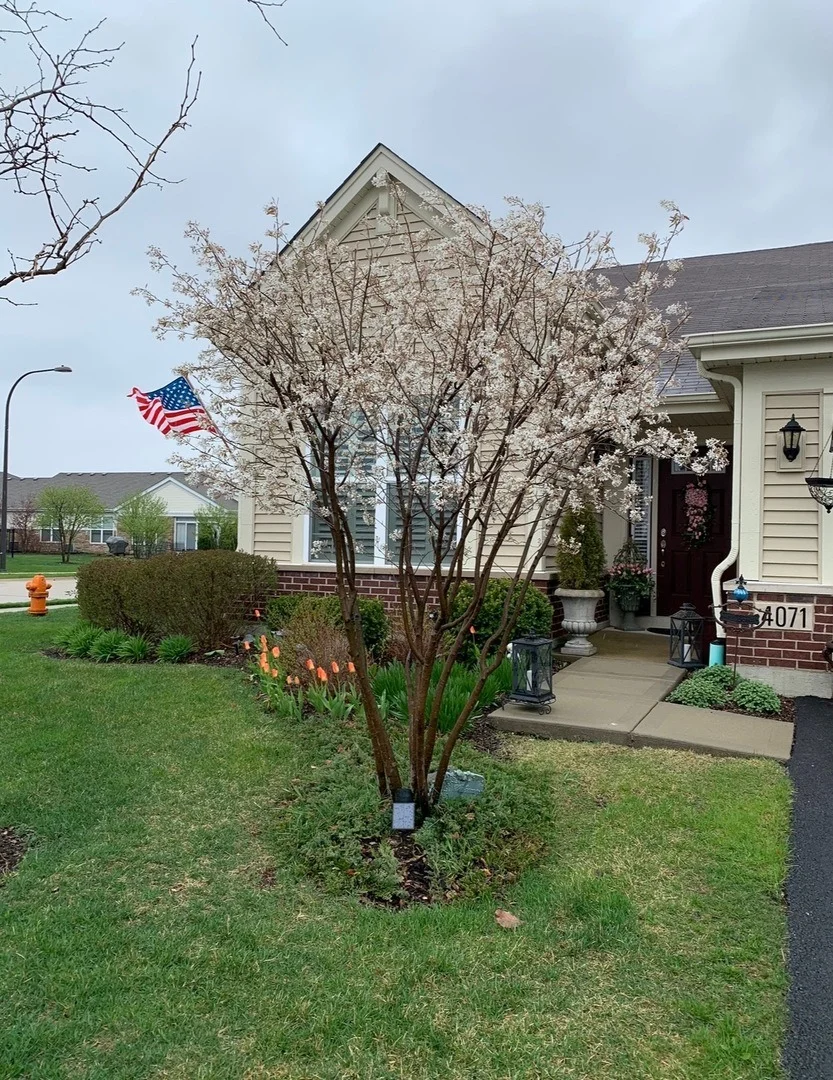 Photo of 4071 Chesapeake Lane