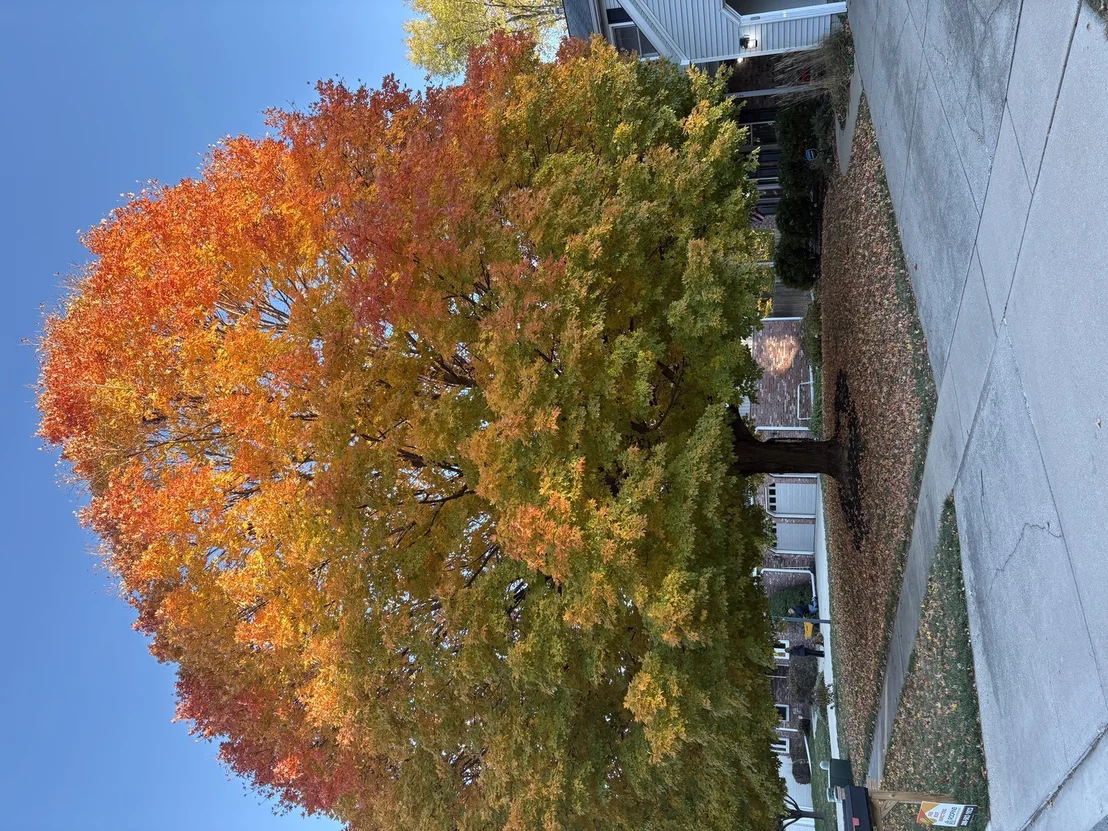 Photo of 1512 Steeplechase Drive