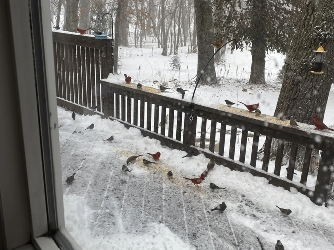Photo of 330 S 5000w Road