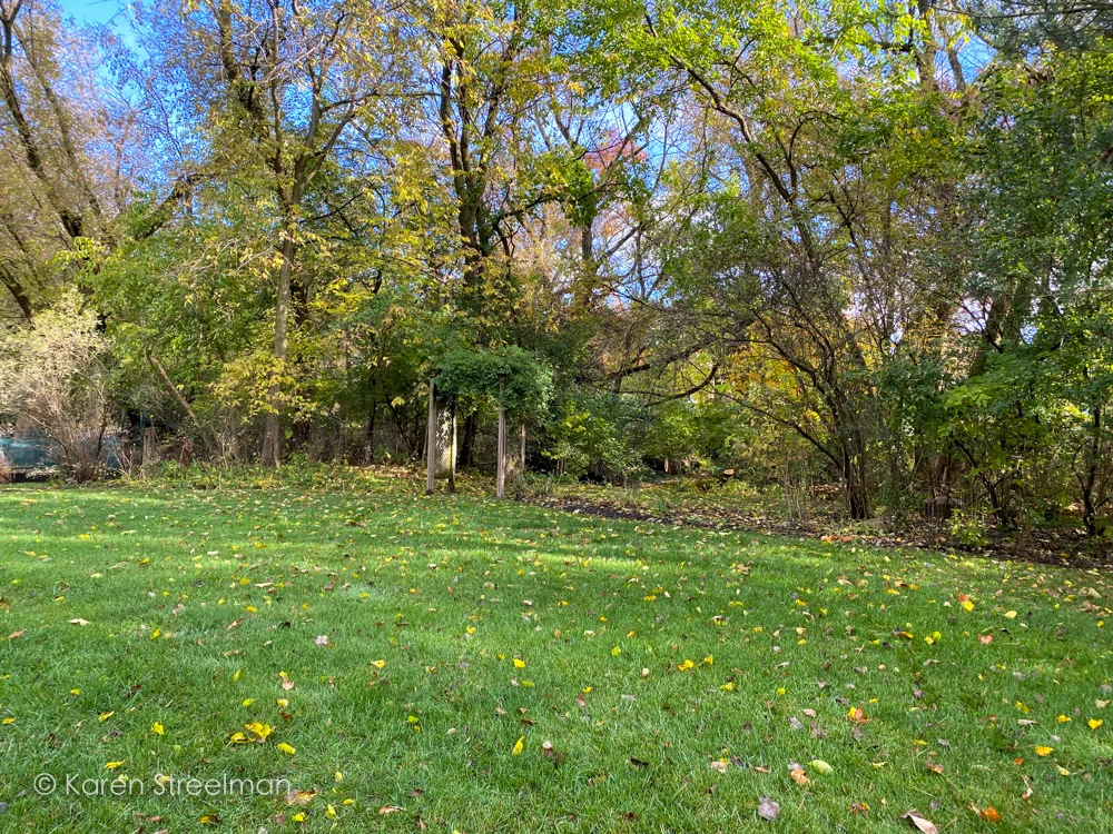 Photo of 12010 Mohican Drive