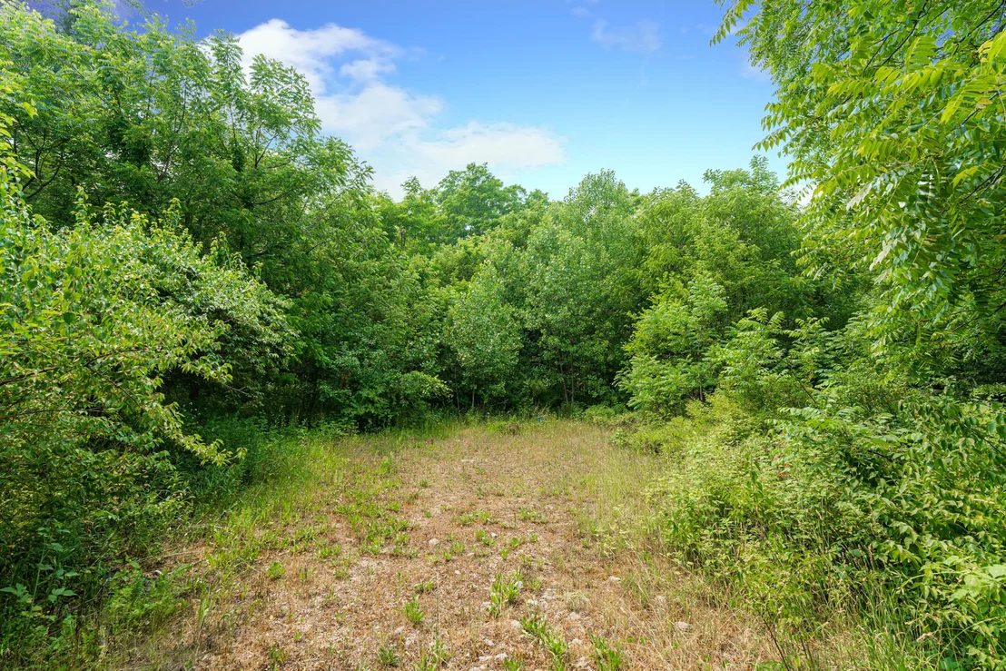 Photo of 5N024 Route 31