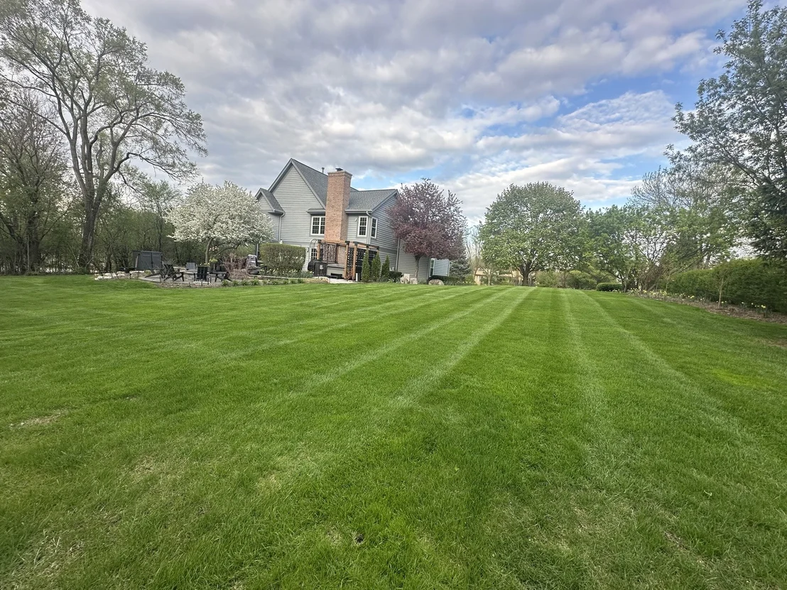 Photo of 1203 MACINTOSH Drive