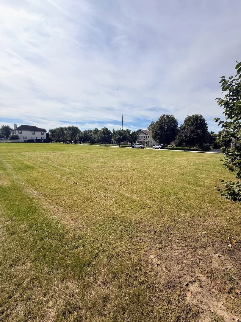 Photo of 1441 Blume Drive