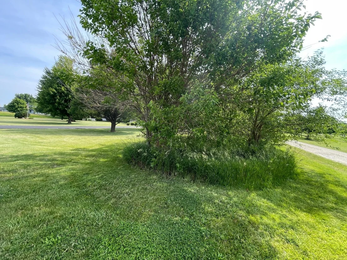 Photo of 2908 E 29th Road