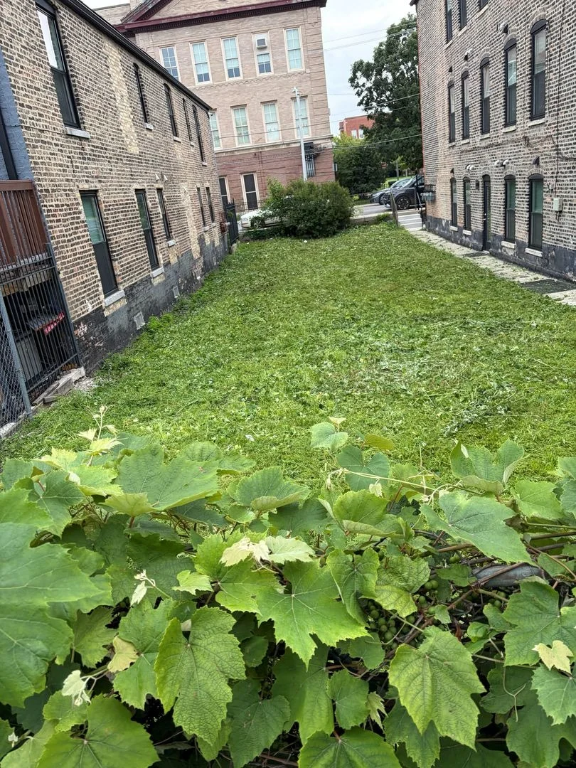 Photo of 924 W 32nd Place