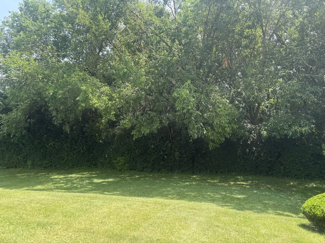 Photo of 629 Sequoia Lane