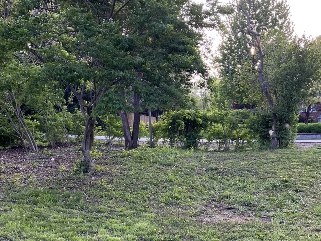 Photo of 17 E Lyncliff Drive
