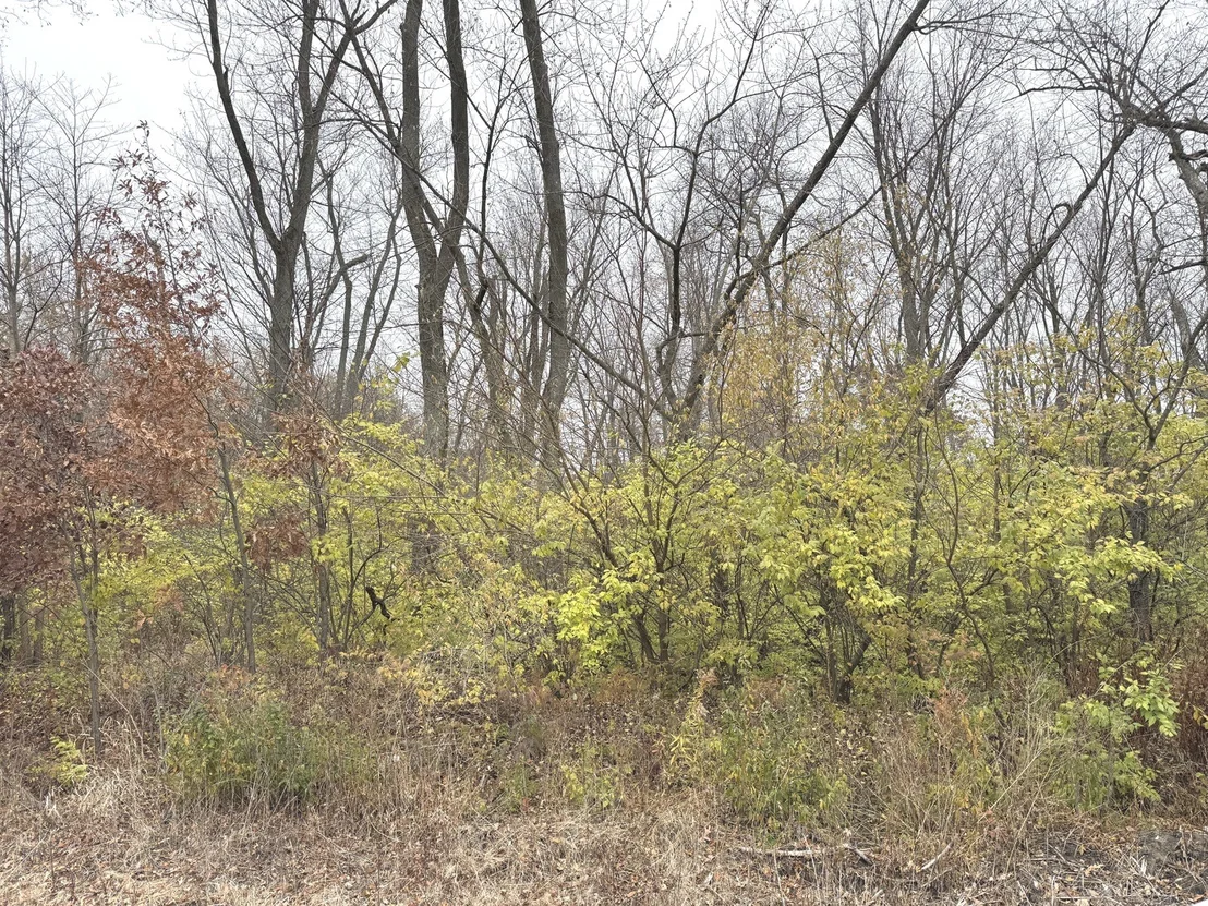 Photo of 4047 Foxwood Drive