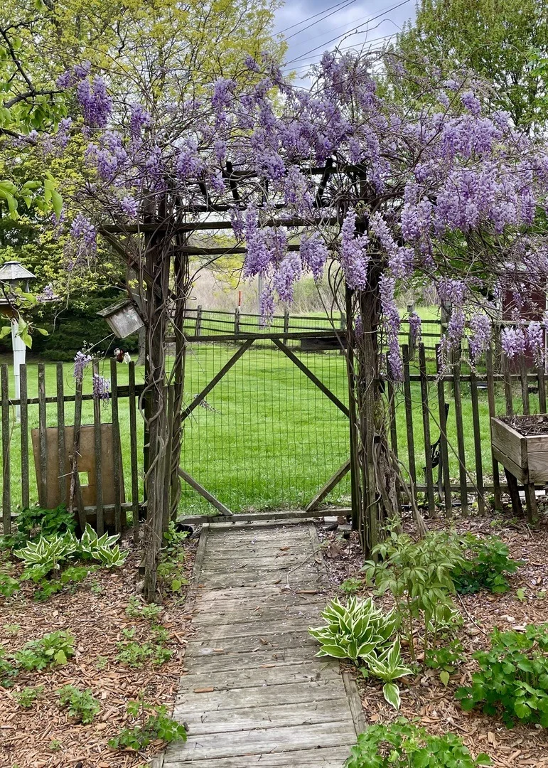 Photo of 8S765 Singletree Lane
