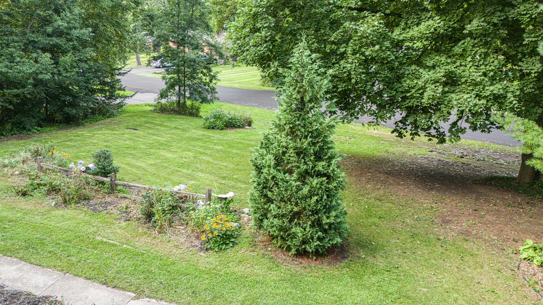 Photo of 7901 Louella Drive