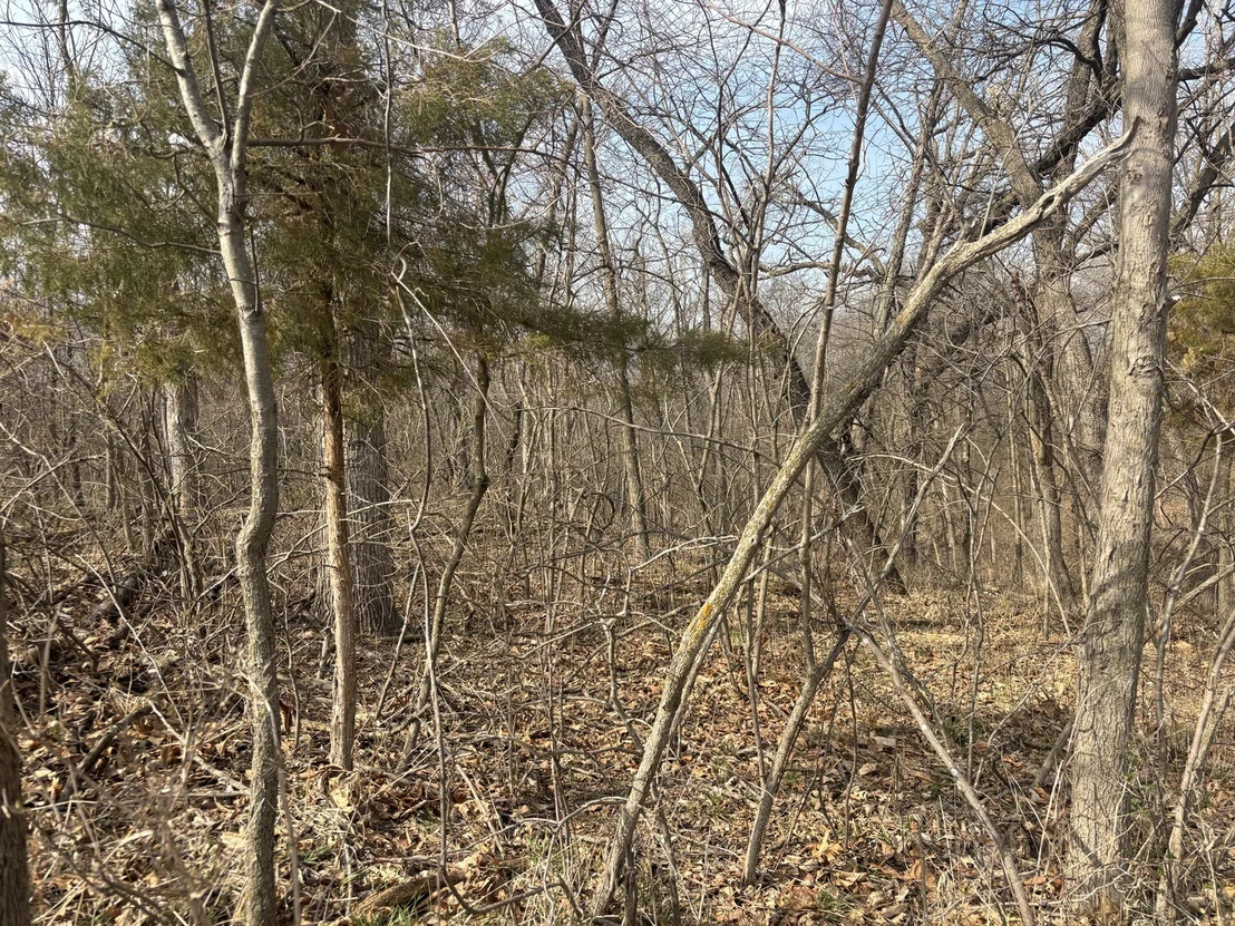 Photo of 1784 Tanglewood Drive