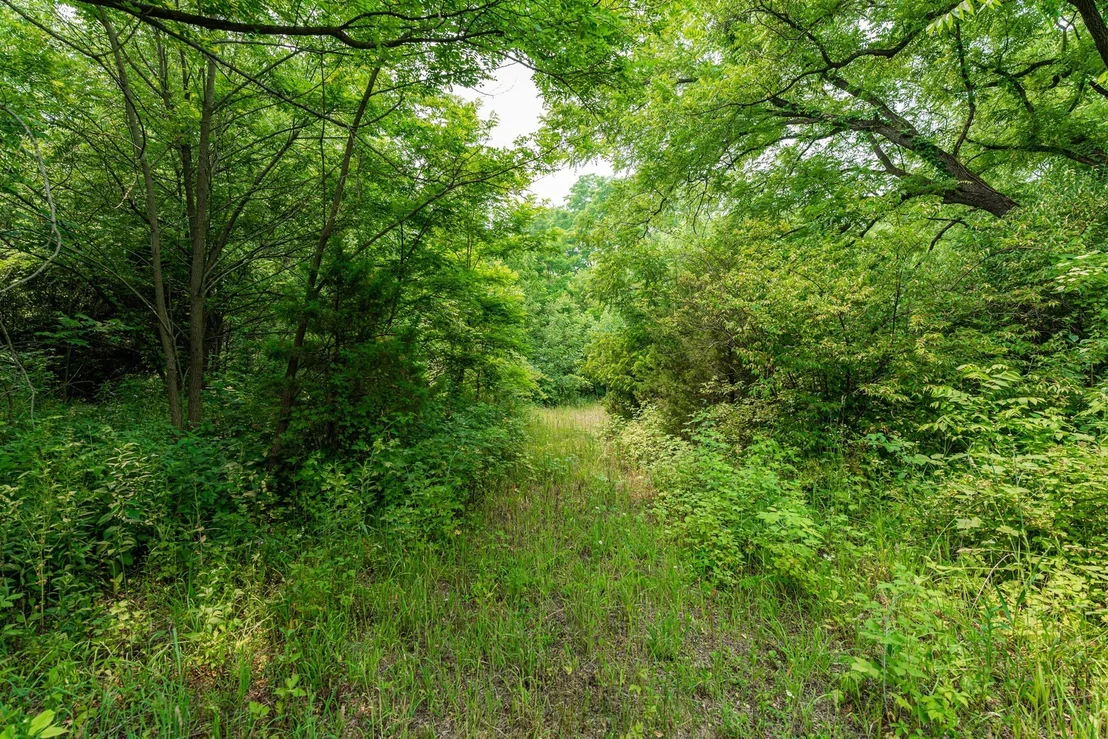 Photo of 5N024 Route 31