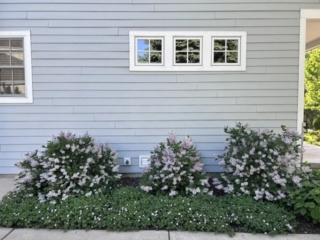 Photo of 608 CADILLAC Drive