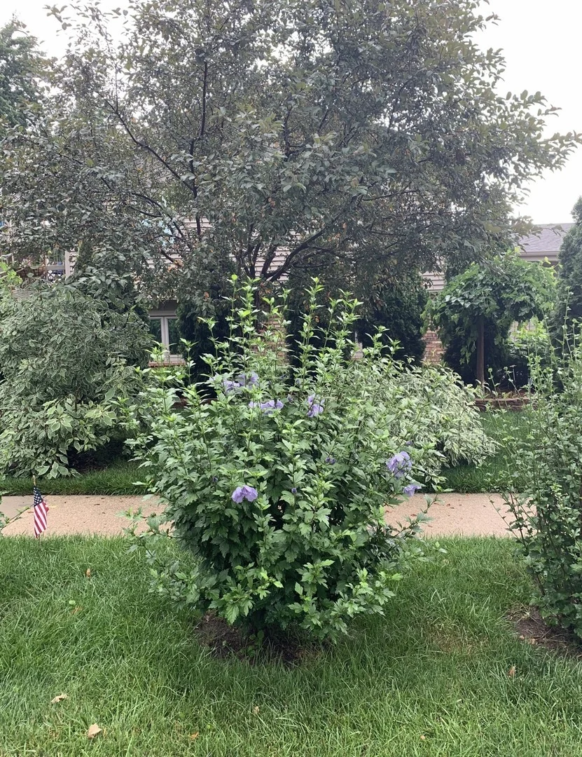 Photo of 856 Quail Drive