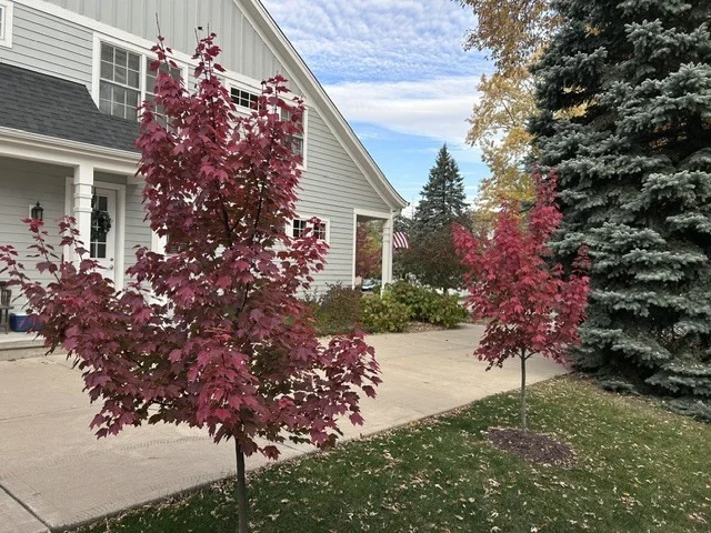 Photo of 608 CADILLAC Drive