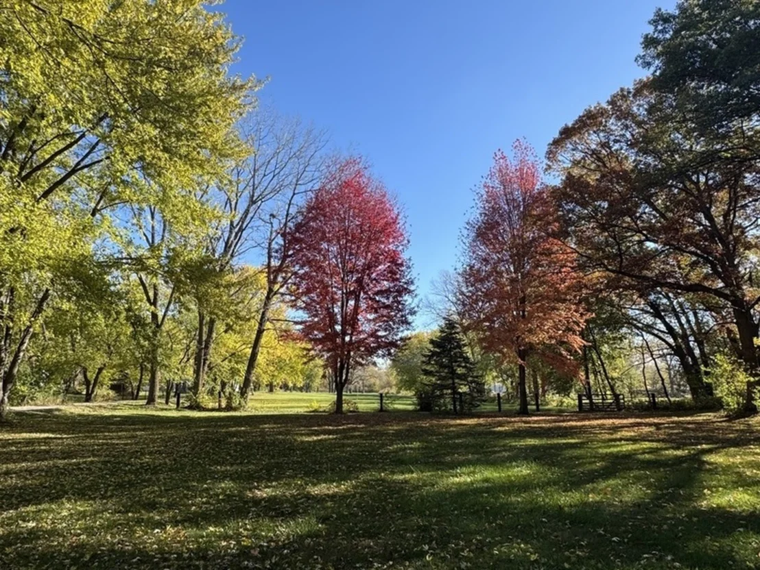 Photo of 330 S 5000w Road