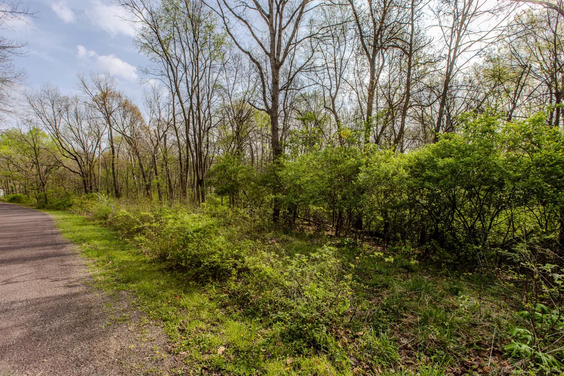 Photo of 56,57 Summit Drive