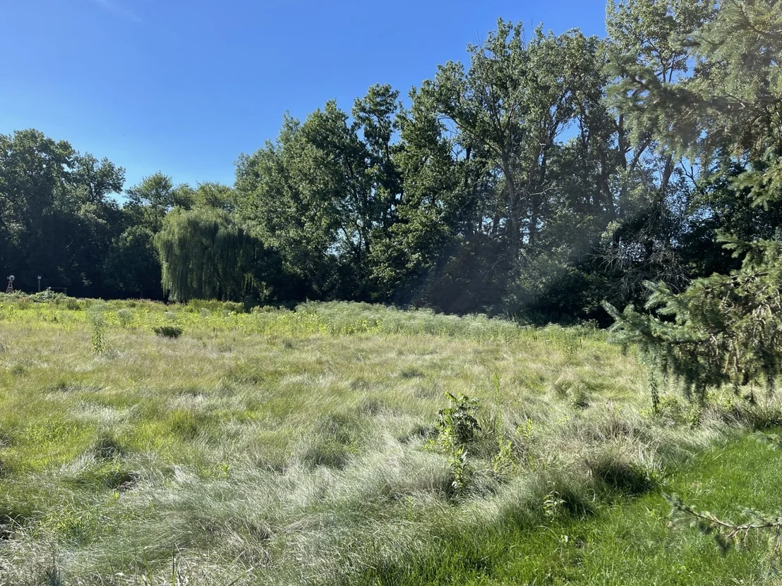 Photo of 4015 Foxwood Drive
