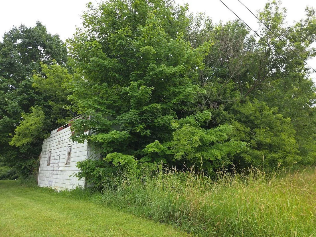 Photo of 10044 8 Mile Road