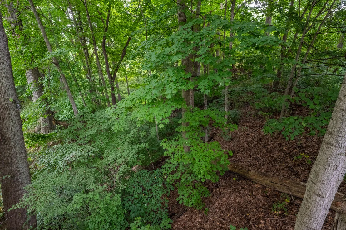 Photo of 4625 Terra Lane