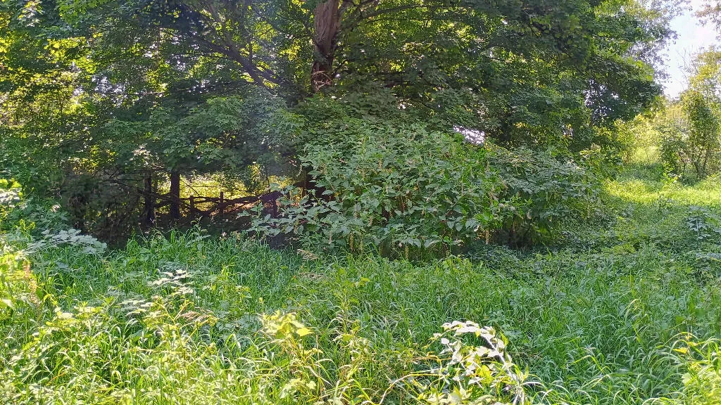 Photo of 982 Stanton Road