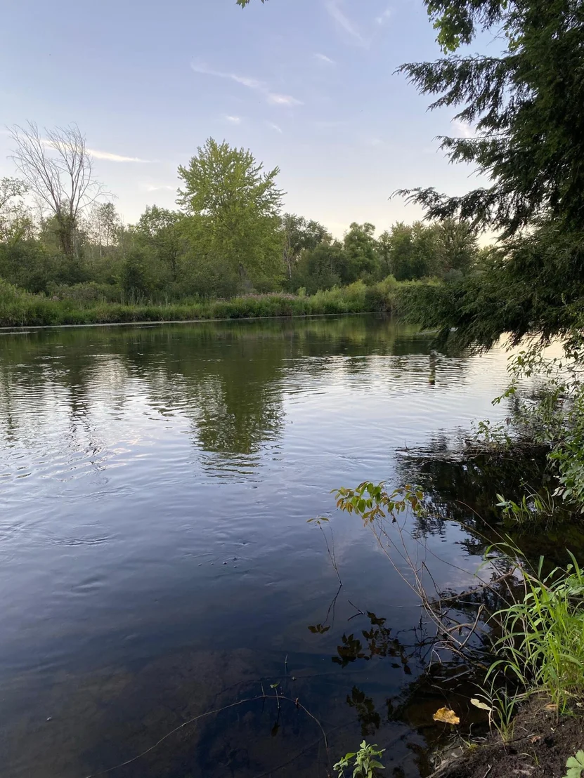 Photo of 4724 Flat River Trail