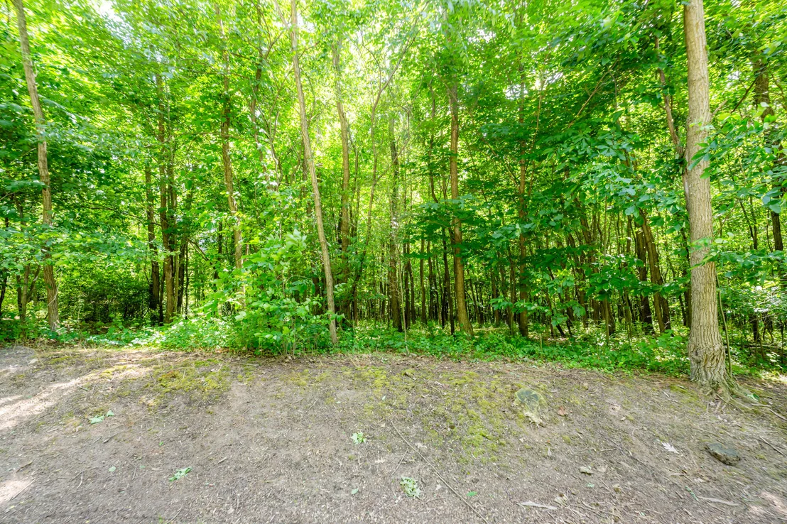 Photo of 4172 Pine Wood Drive