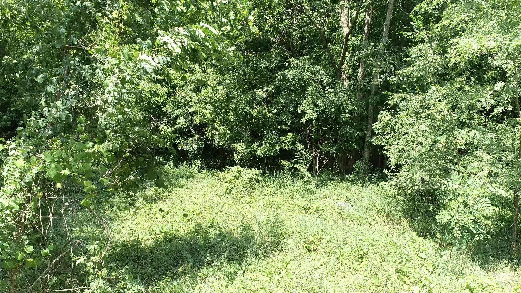 Photo of 982 Stanton Road