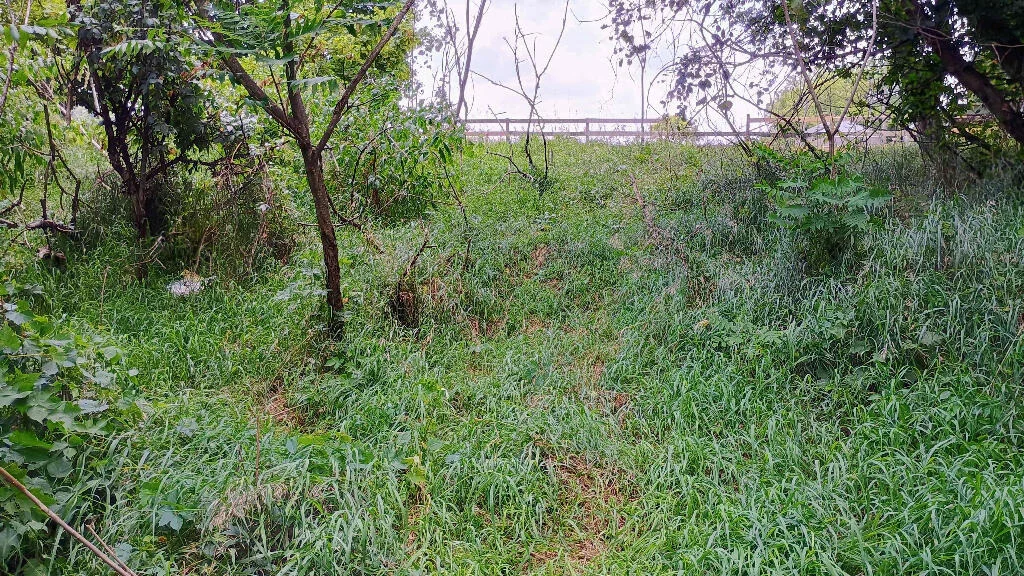 Photo of 982 Stanton Road