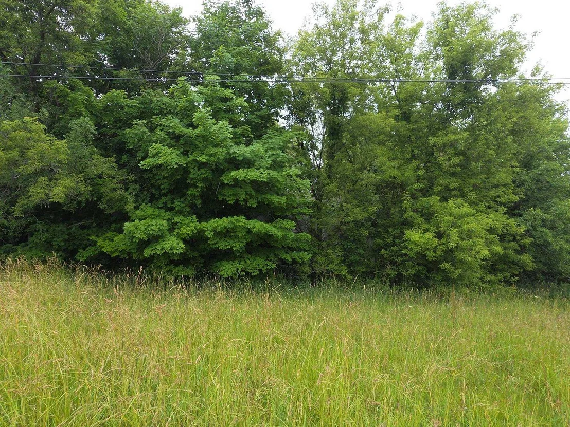 Photo of 10044 8 Mile Road