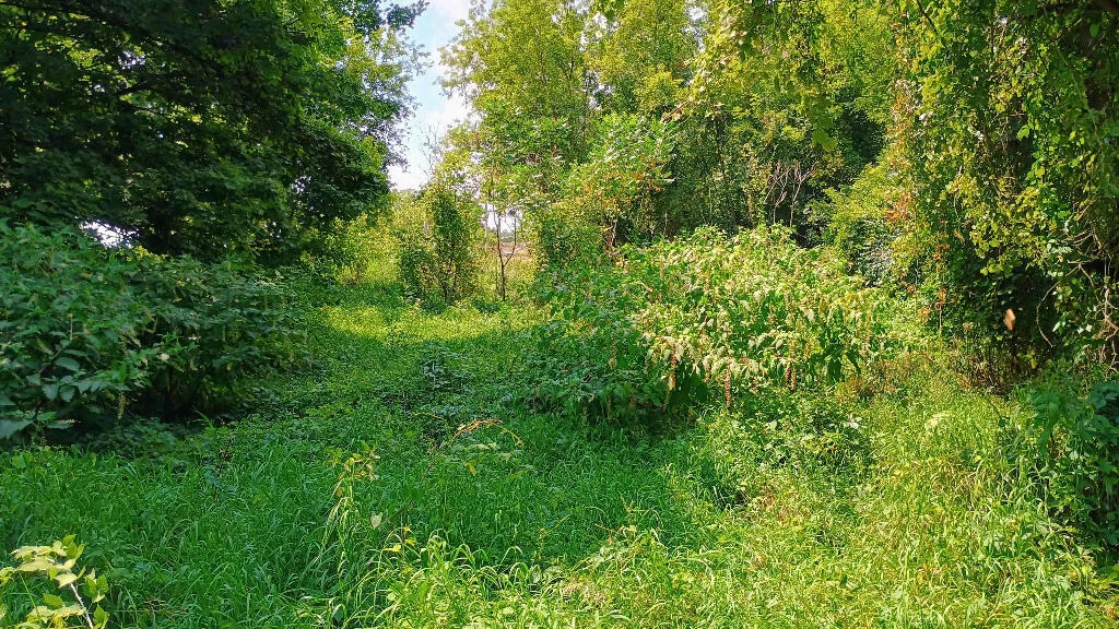 Photo of 982 Stanton Road