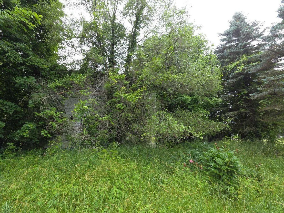 Photo of 10044 8 Mile Road