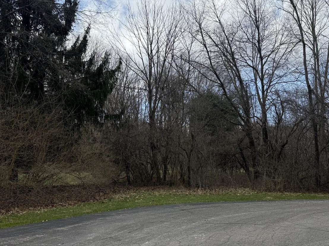 Photo of 1192 Stags Leap Lane