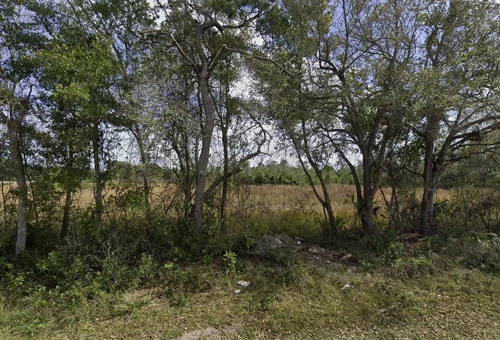 Photo of 0 DELAWARE AVENUE