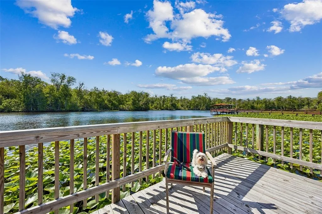 Photo of 334 PARADISE CIRCLE