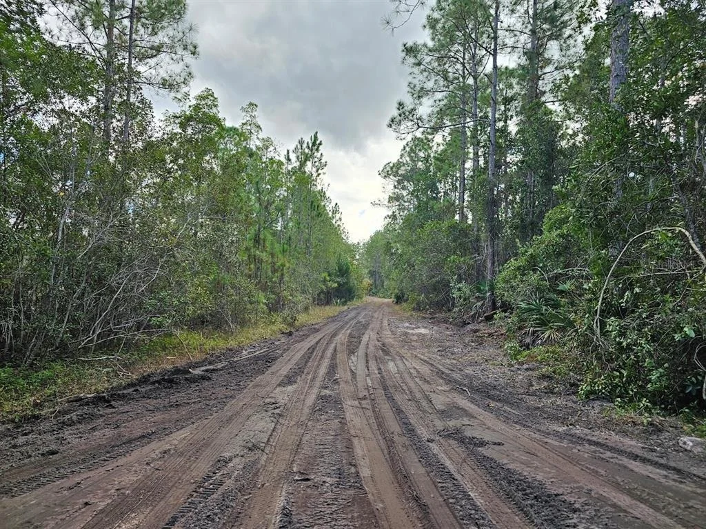 Photo of 804 SHELL HARBOR ROAD