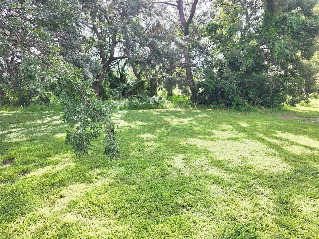 Photo of 384 ROYAL PALM WAY