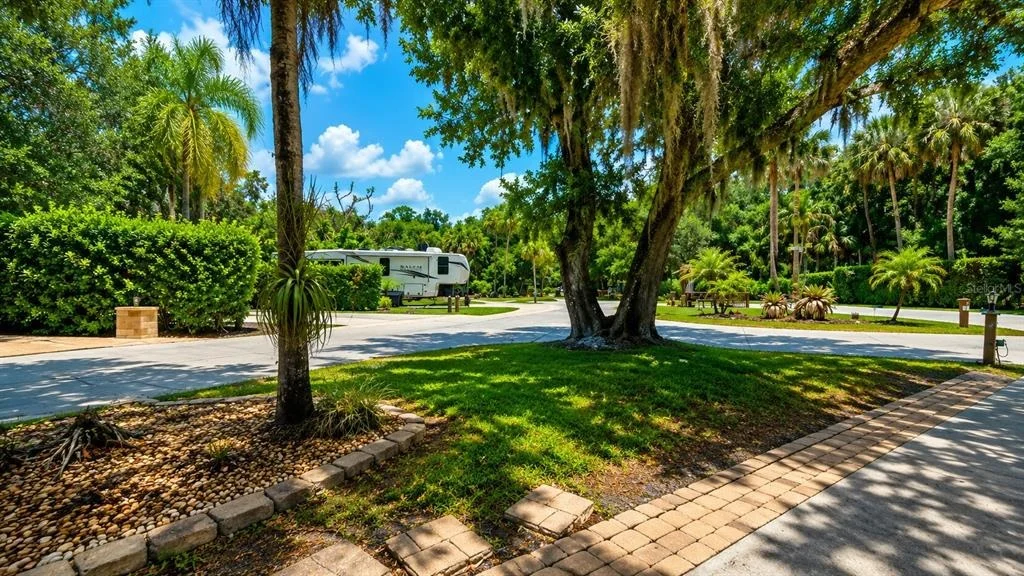 Photo of 243 SADDLE LANE