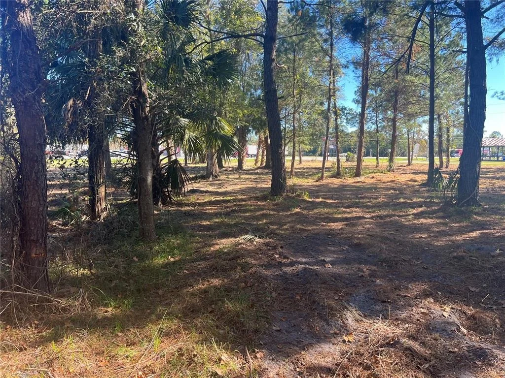 Photo of 17802 US-301
