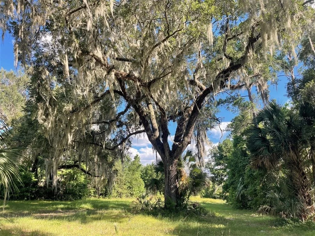 Photo of 11816 SE COUNTY ROAD 234
