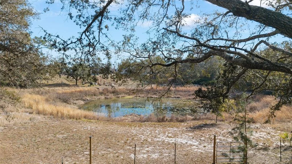 Photo of 6 MALAUKA CIRCLE