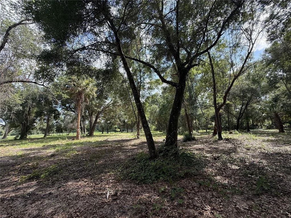 Photo of 620 COCHRAN ROAD