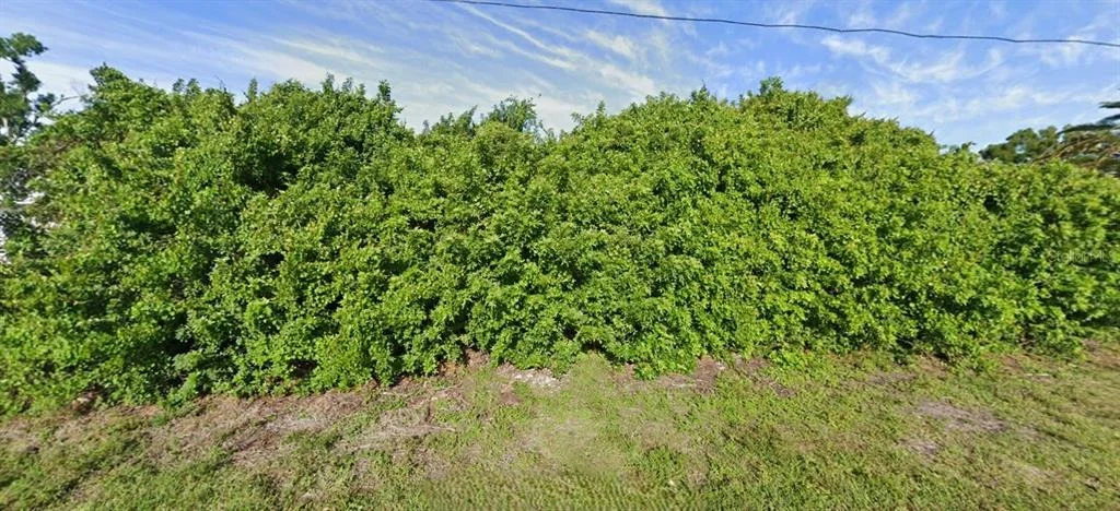 Photo of 6161 ROBERTA DRIVE